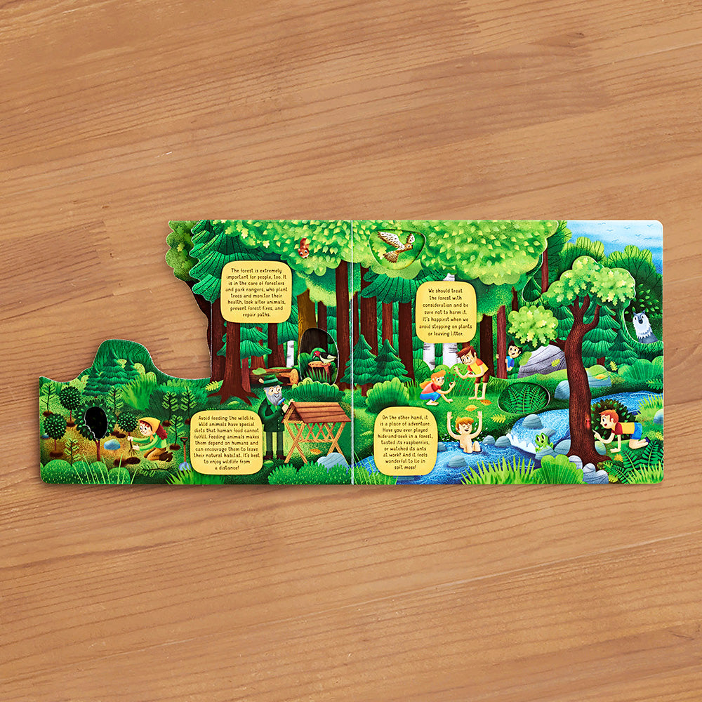 "Exploring the Fascinating World of the Forest" Board Book by Magda N. Gargulakova