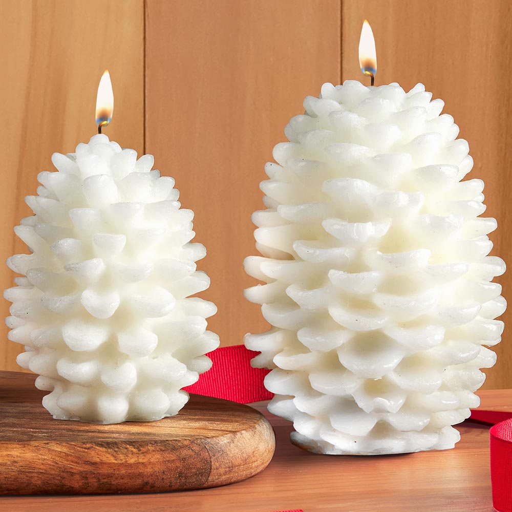 Siberian Fir Scented Pinecone Candle