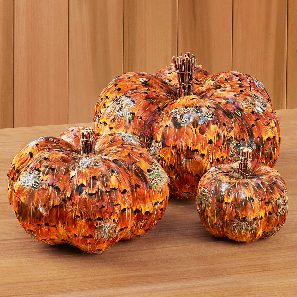 Feathery Fall Pumpkins