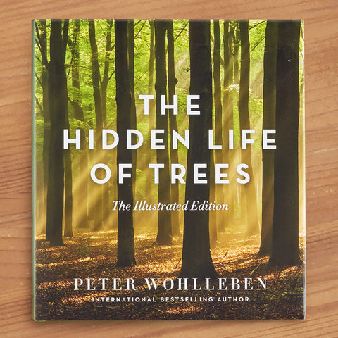 "The Hidden Life of Trees: The Illustrated Edition" by Peter Wohlleben