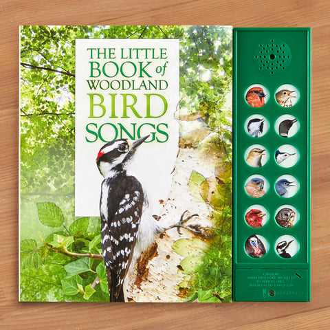 "The Little Book of Woodland Bird Songs" Sound Button Book by Andrea Pinnington and Caz Buckingham