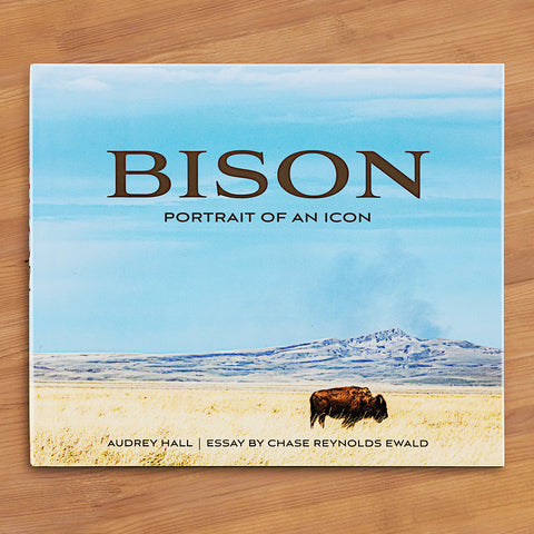 "Bison: Portrait of an Icon" by Audrey Hall