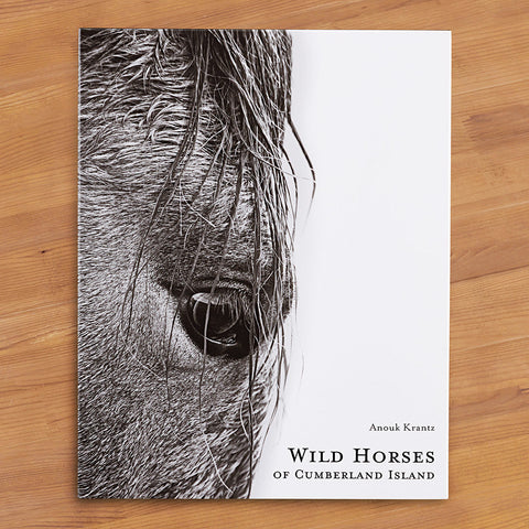 "Wild Horses of Cumberland Island" by Anouk Krantz