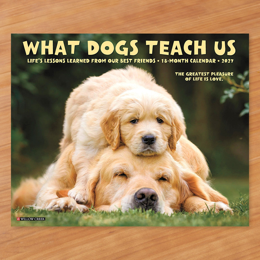 2027 Wall Calendar, What Dogs Teach Us