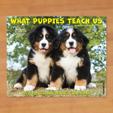 2025 Wall Calendar, What Puppies Teach Us