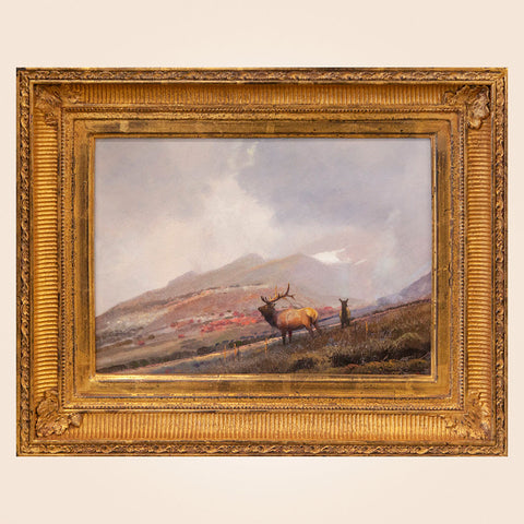 "Elk on the South Fork" Original Oil Painting by Michael Coleman