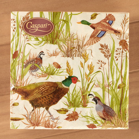 Caspari Paper Napkins, Birds Of A Feather