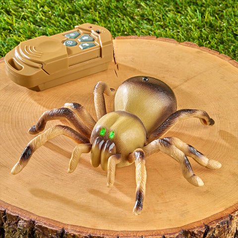Rechargeable Remote Control Spider Toy