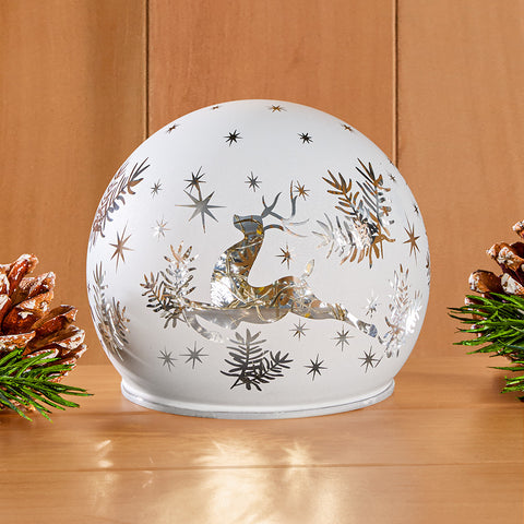 Winter Wishes LED Reindeer Globe Light