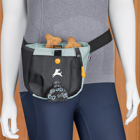 OllyDog Backcountry Day Bag Dog Walk Belt