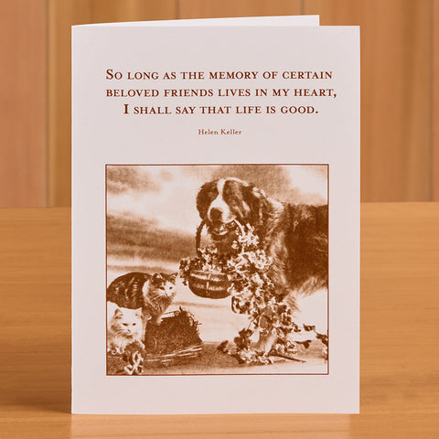 Shannon Martin Pet Sympathy Card, Beloved
