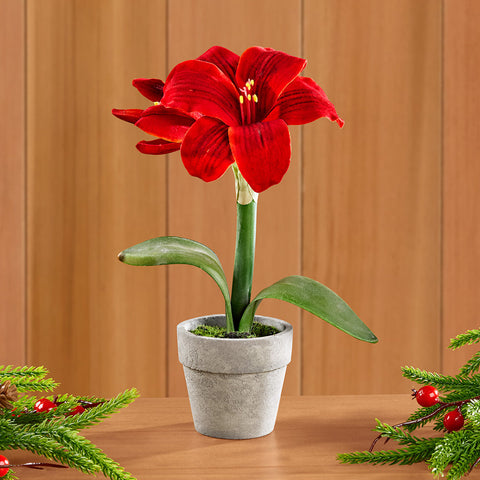 Napa Home & Garden Mini Faux Amaryllis Drop-In with Pot
