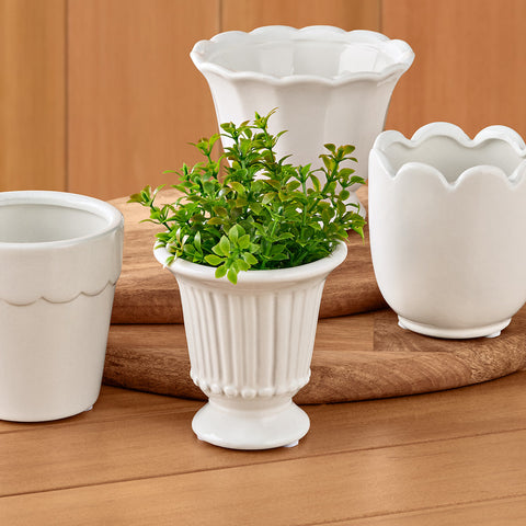 Napa Home & Garden Mirabelle Mini Cachepots