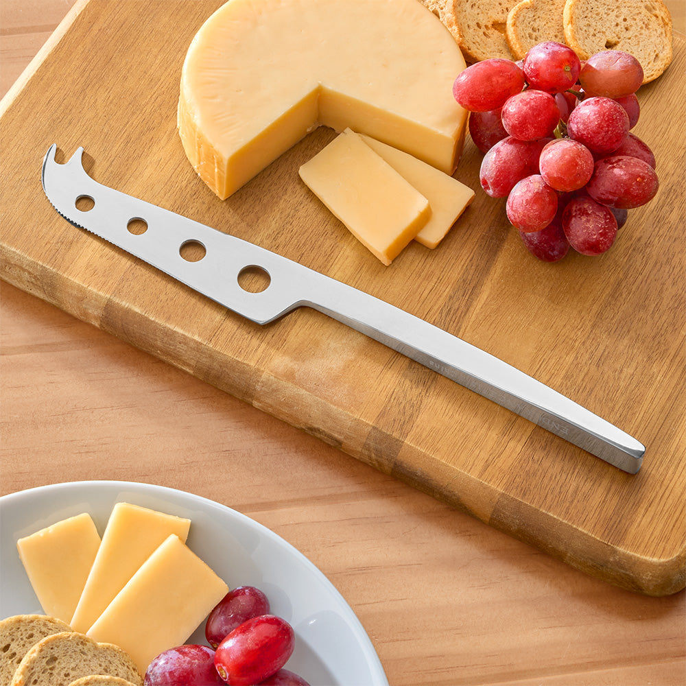 Endurance Stainless Steel Cheese Knife
