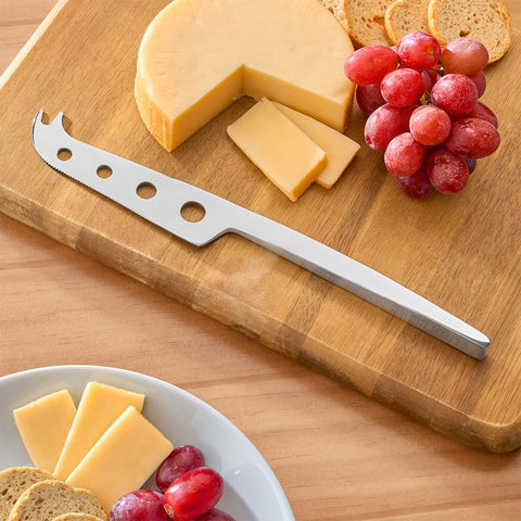Endurance Stainless Steel Cheese Knife