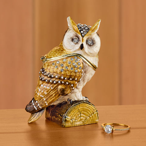 Enameled Owl Keepsake Box with Crystal Inlay