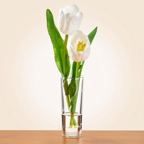 Tulip Cuttings in Glass Vase