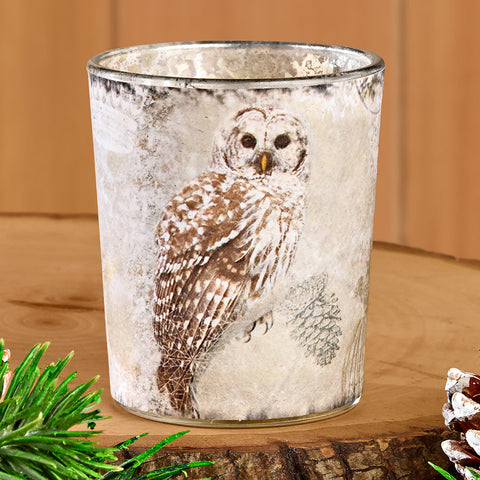 Northwoods Winter Owl Vase / Candleholder