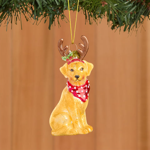 Kurt Adler Glass Ornament, Yellow Labrador Retriever
