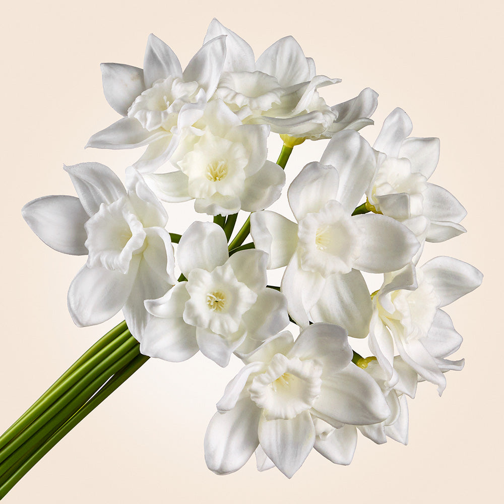 Bundle of Faux Daffodil Stems, 11"