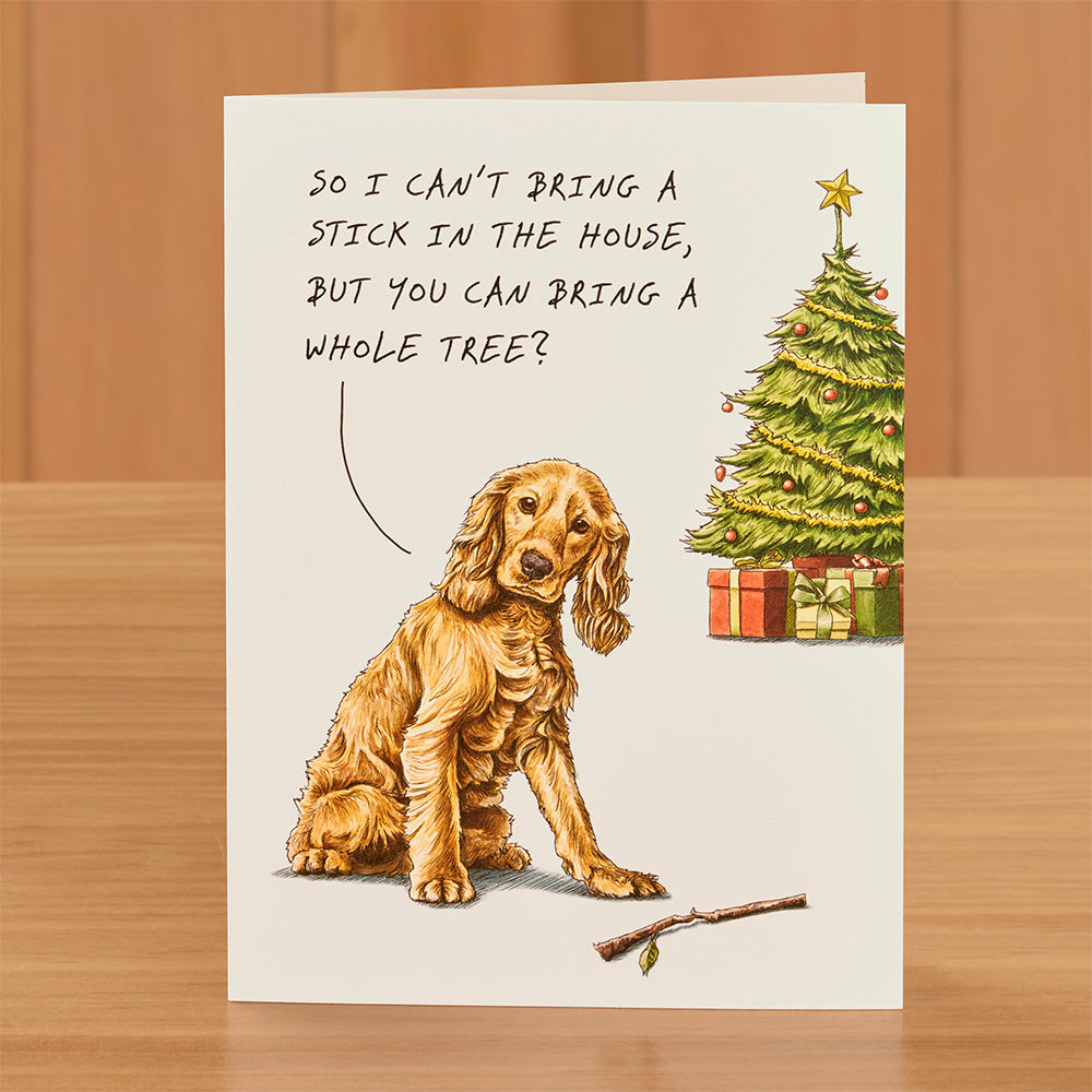 Hester & Cook Christmas Card, Christmas Stick