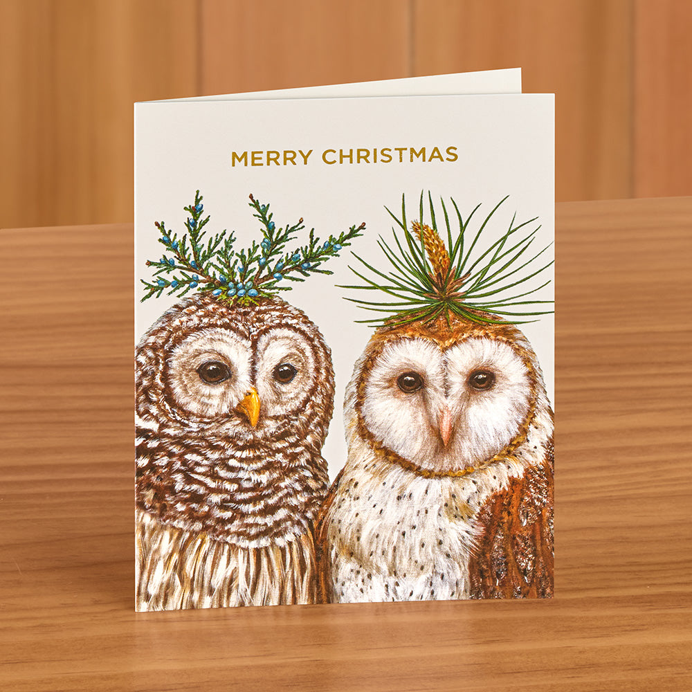 Hester & Cook Christmas Card Set, Fancy Winter Owls