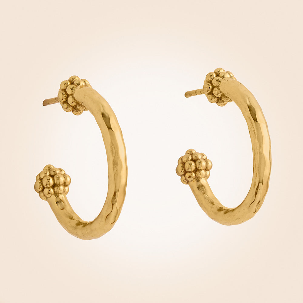 Capucine De Wulf Berry Slice Gold Hoop Earrings