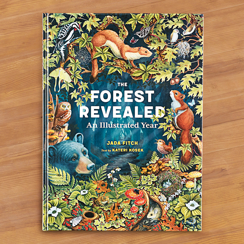"The Forest Revealed: An Illustrated Year" by Jada Fitch and Kateri Kosek