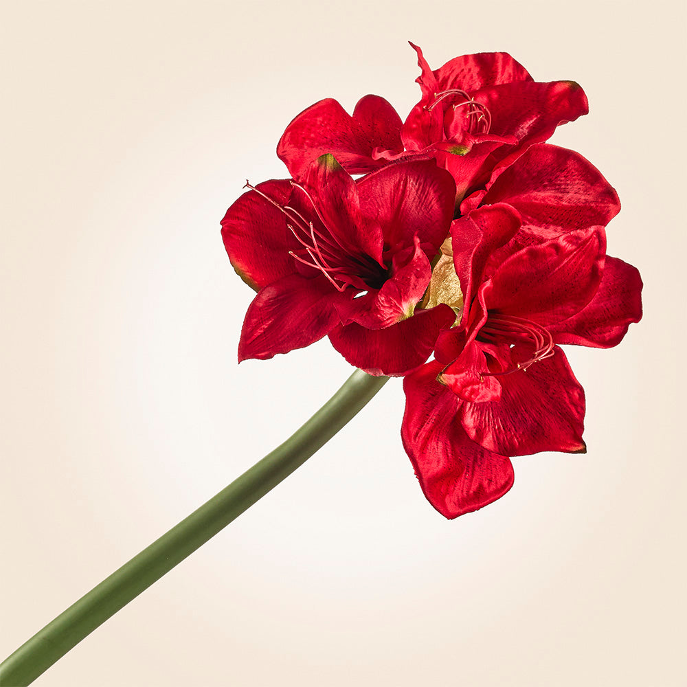 Napa Home & Garden Faux Amaryllis Stem