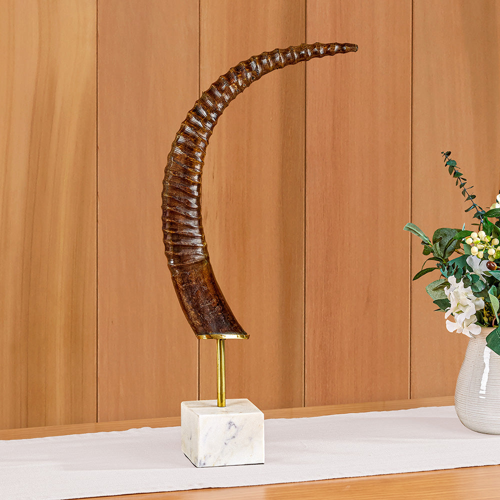 Exotic Oryx Antelope Horn on Marble