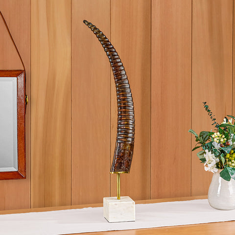 Exotic Oryx Antelope Horn on Marble