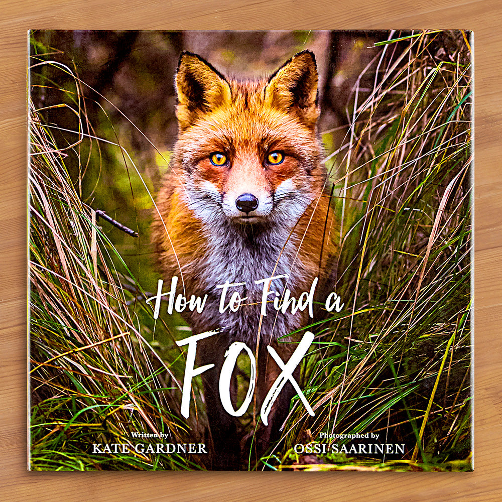 "How to Find a Fox" Children's Book by Kate Gardner