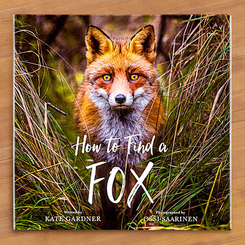 "How to Find a Fox" Children's Book by Kate Gardner