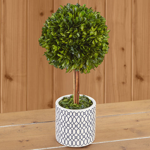 Boxwood Ball Topiary in Blue and White Ceramic Pot, Medium