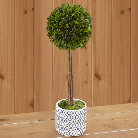 Boxwood Ball Topiary in Blue and White Ceramic Pot, Tall