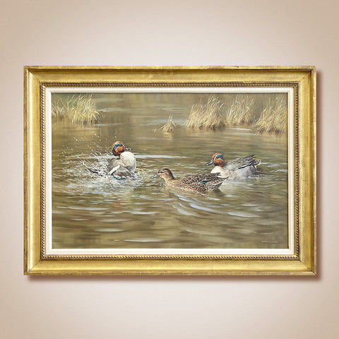 "Greenwing Teal" Original Painting by William Hollywood
