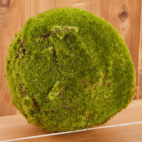 Decorative Moss Ball