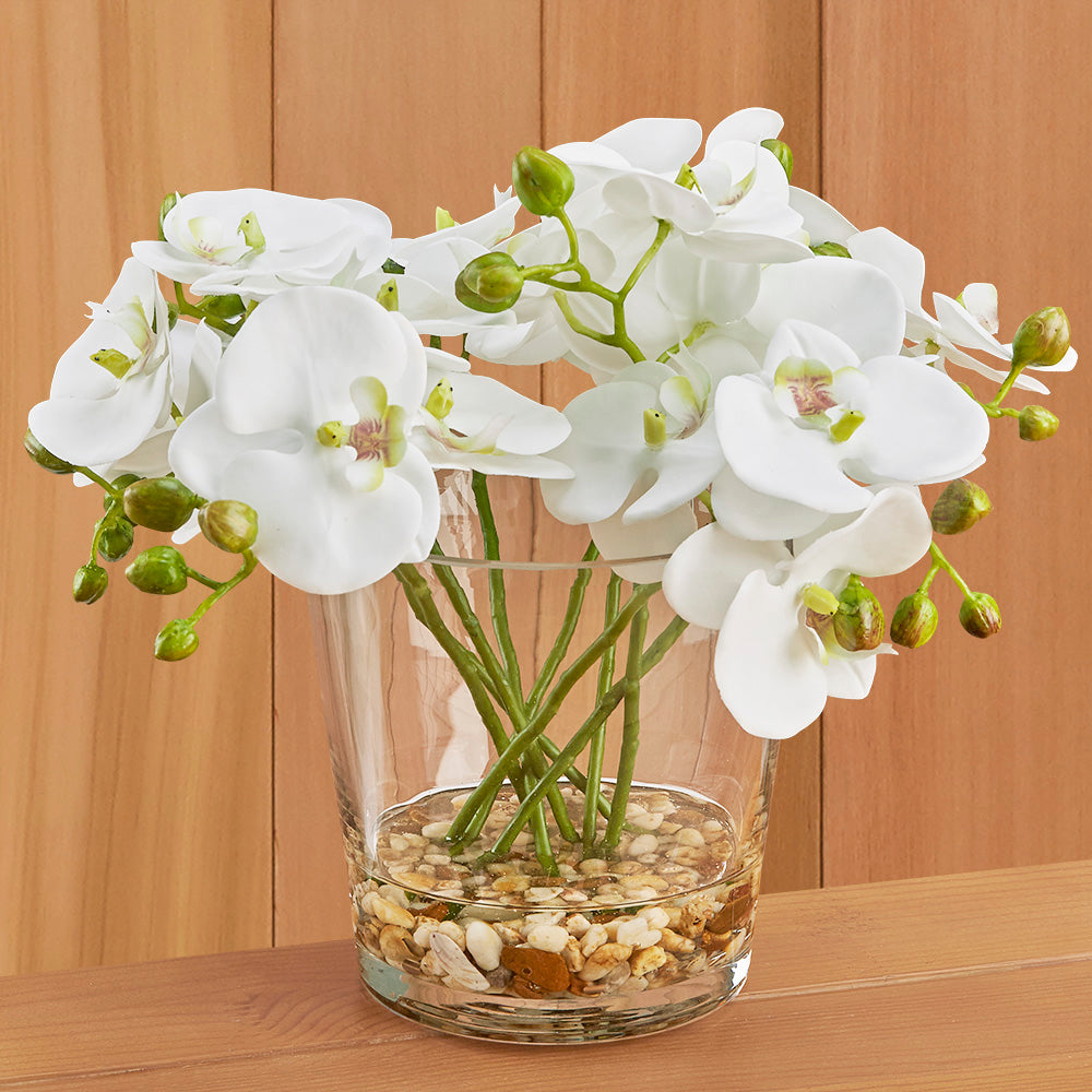 White Phalaenopsis Orchids in Glass Vase