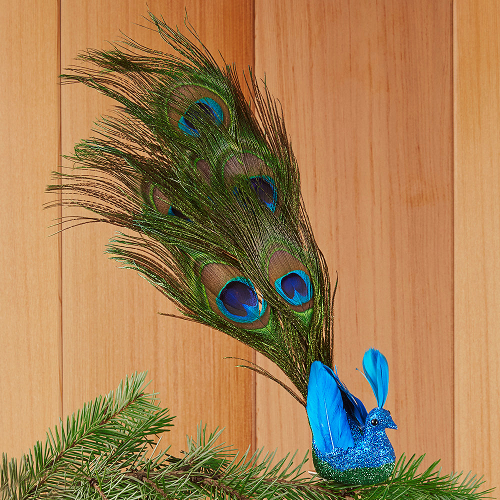 Peacock Feather Ornament - 14"
