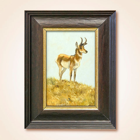 "Pronghorn" Original Oil Painting by Cynthia Rigden