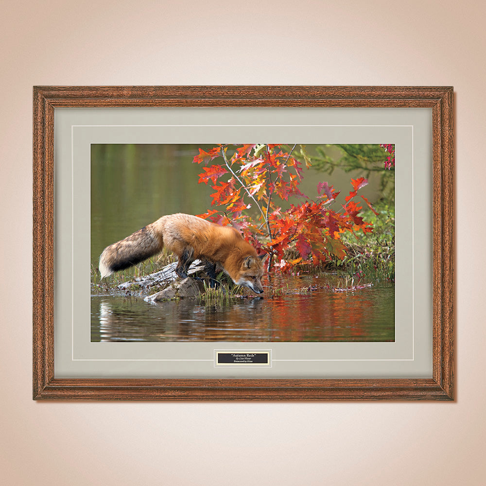 "Autumn Reds" Scenic Print by Lisa Husar