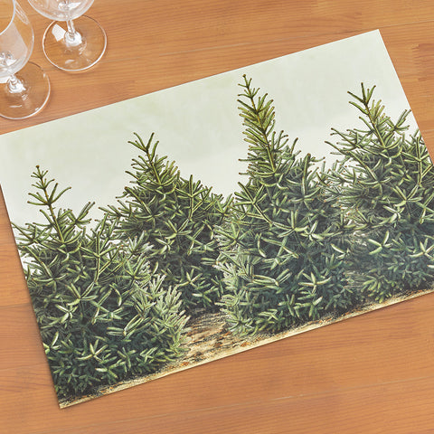 Hester & Cook Paper Placemats, Fir Trees