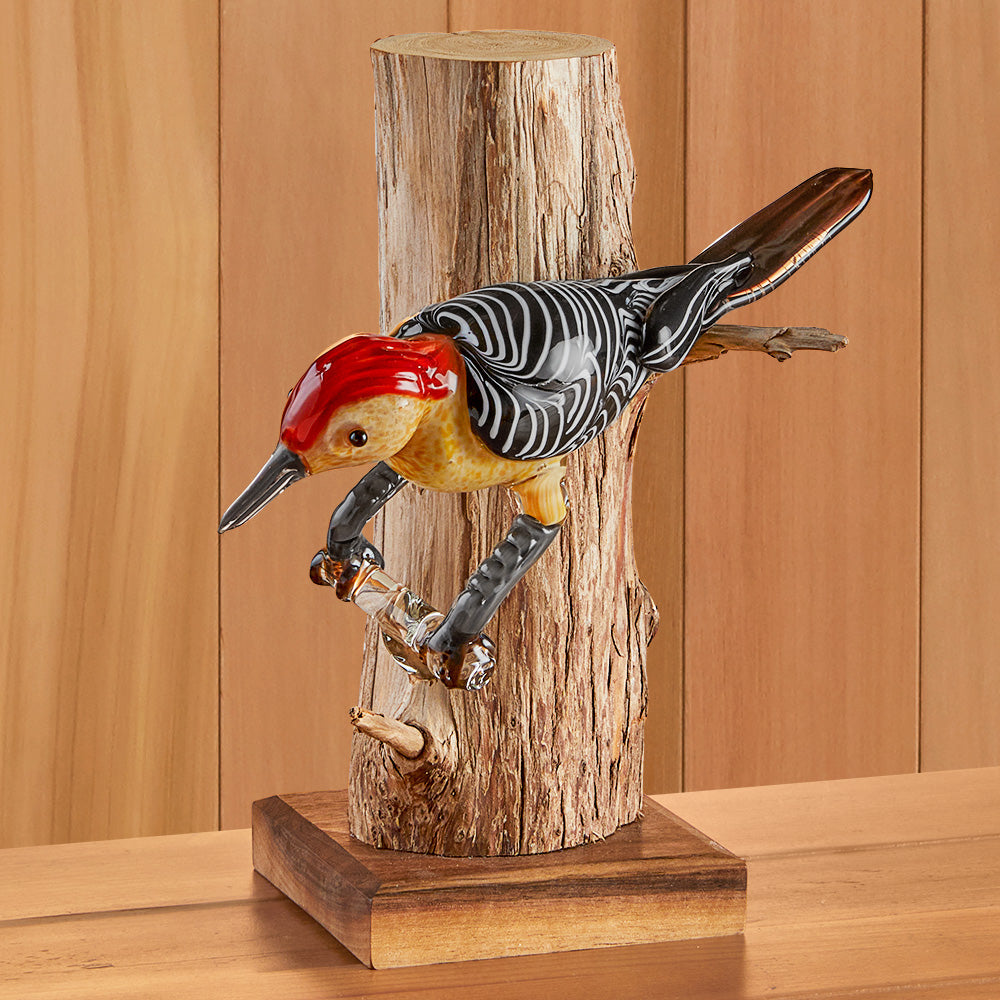 R. Jason Howard Glass Woodpecker on Tree