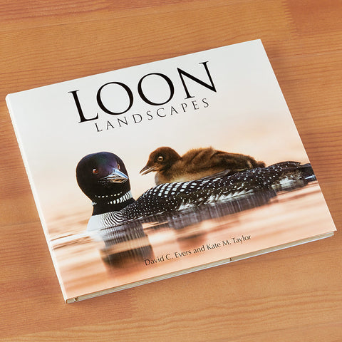 "Loon Landscapes" by David Evers and Kate Taylor