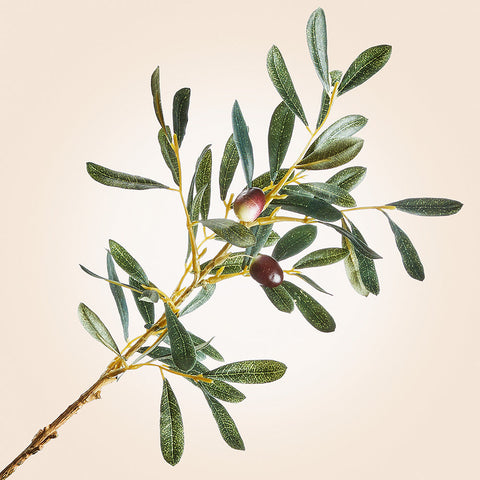 Faux Spanish Olive Stem