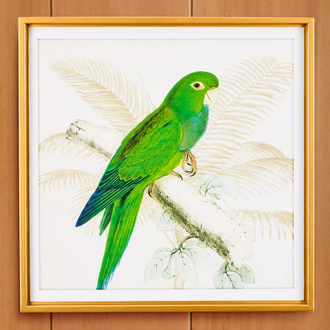 Green Parrot Framed Print