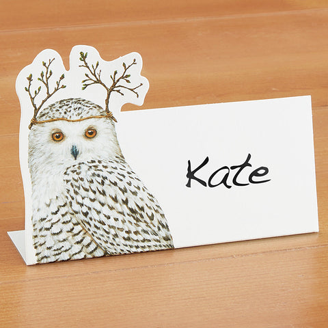 Hester & Cook Place Cards, Winter Owl