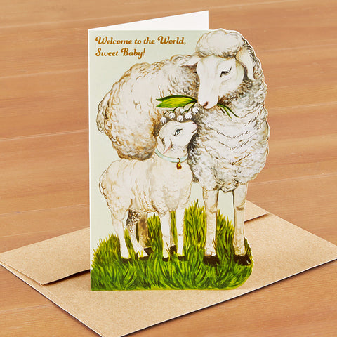 Hester & Cook Greeting Card, Welcome Little Lamb