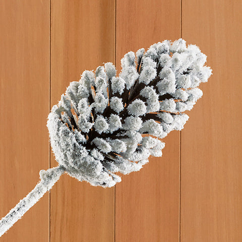 Snowy Pinecone Stem