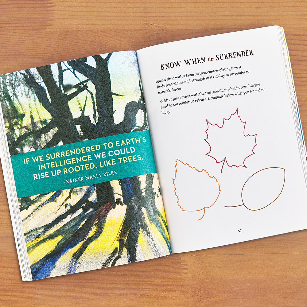 "Wild Calm: Finding Mindfulness in Forest Bathing: A Guided Journal" by Joan Vorderbruggen